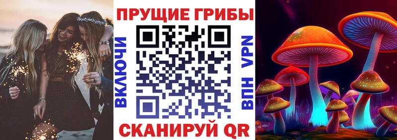 Псилоцибиновые грибы Psilocybe  Слюдянка 